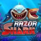 Razor Shark